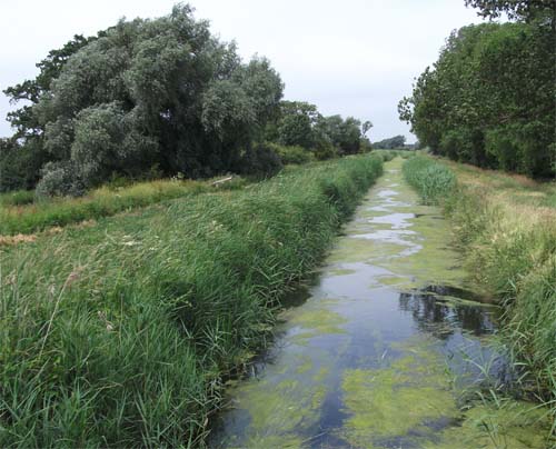 Swaffham Bulbeck Lode